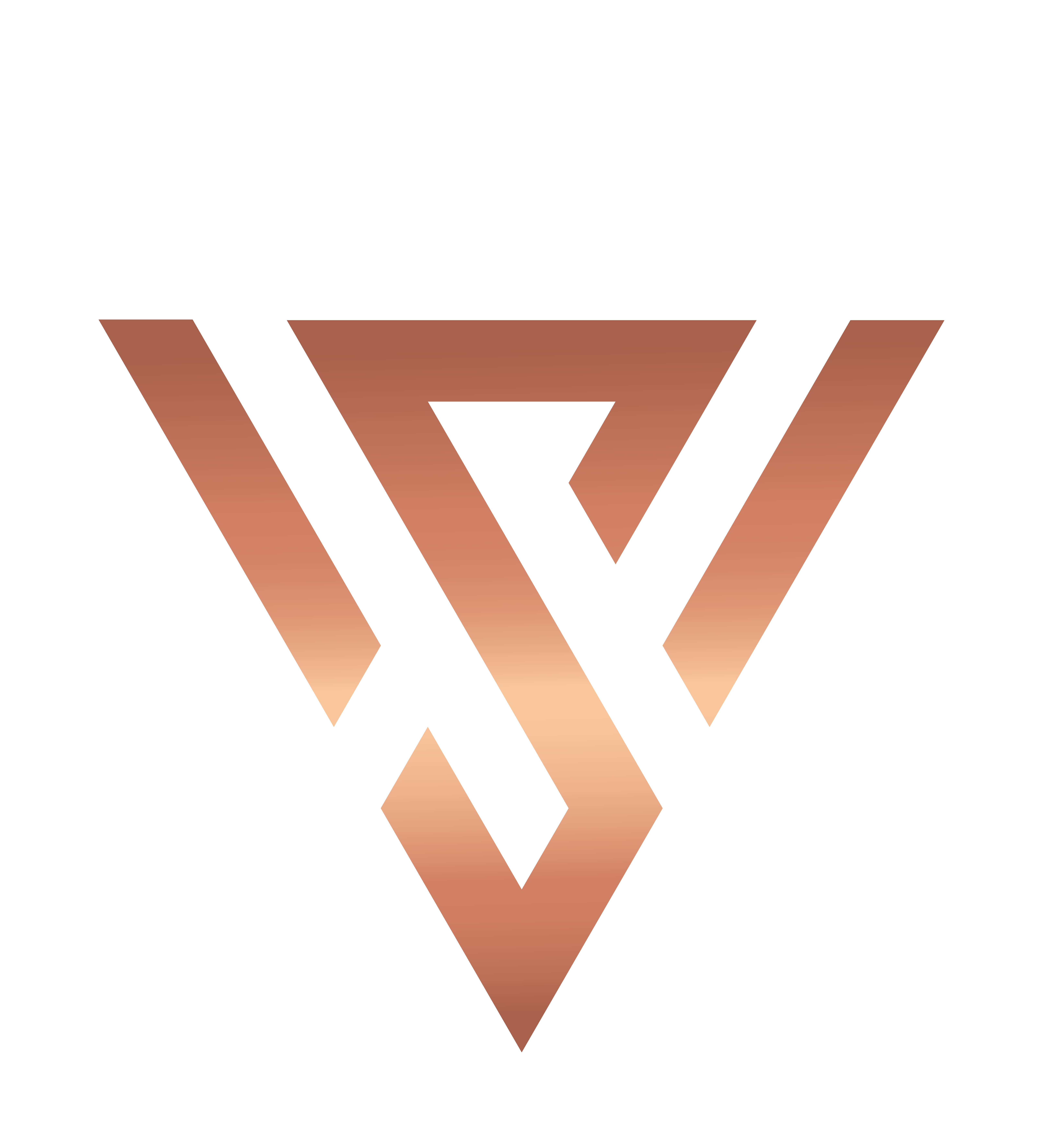 Segur vtc